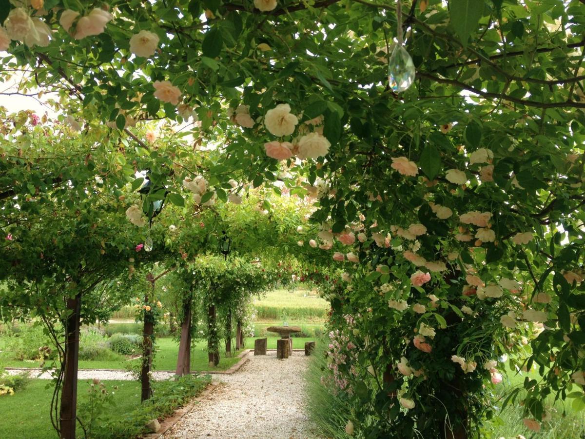 Abbazia Sette Frati Agriturismo Fratres Pietrafitta  Zimmer foto